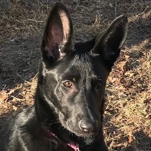 Meet your Posher, Karen